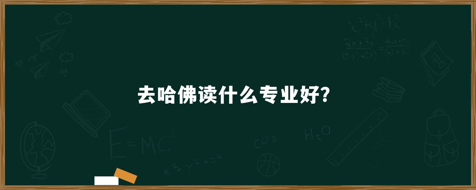 去哈佛读什么专业好？