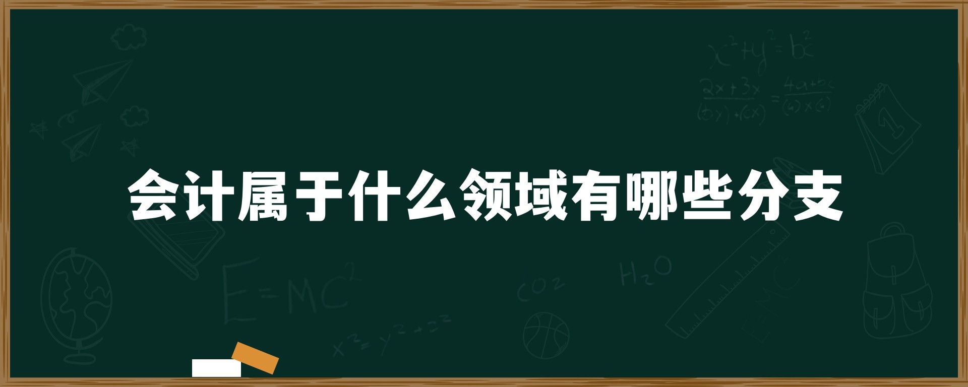 会计属于什么领域有哪些分支