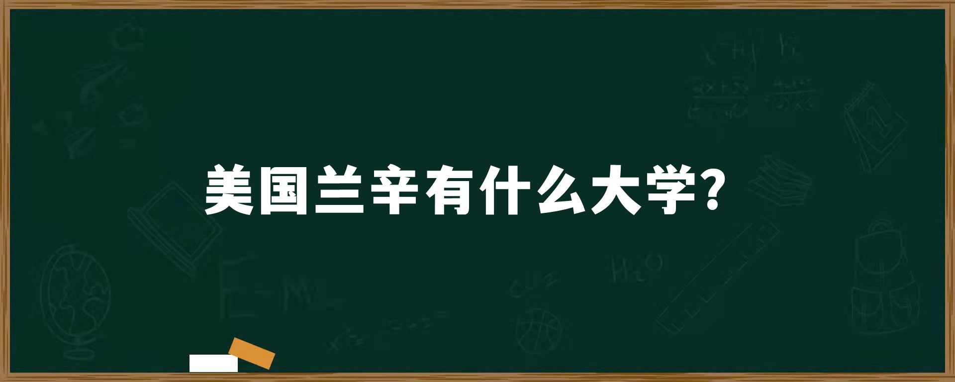 美国兰辛有什么大学？