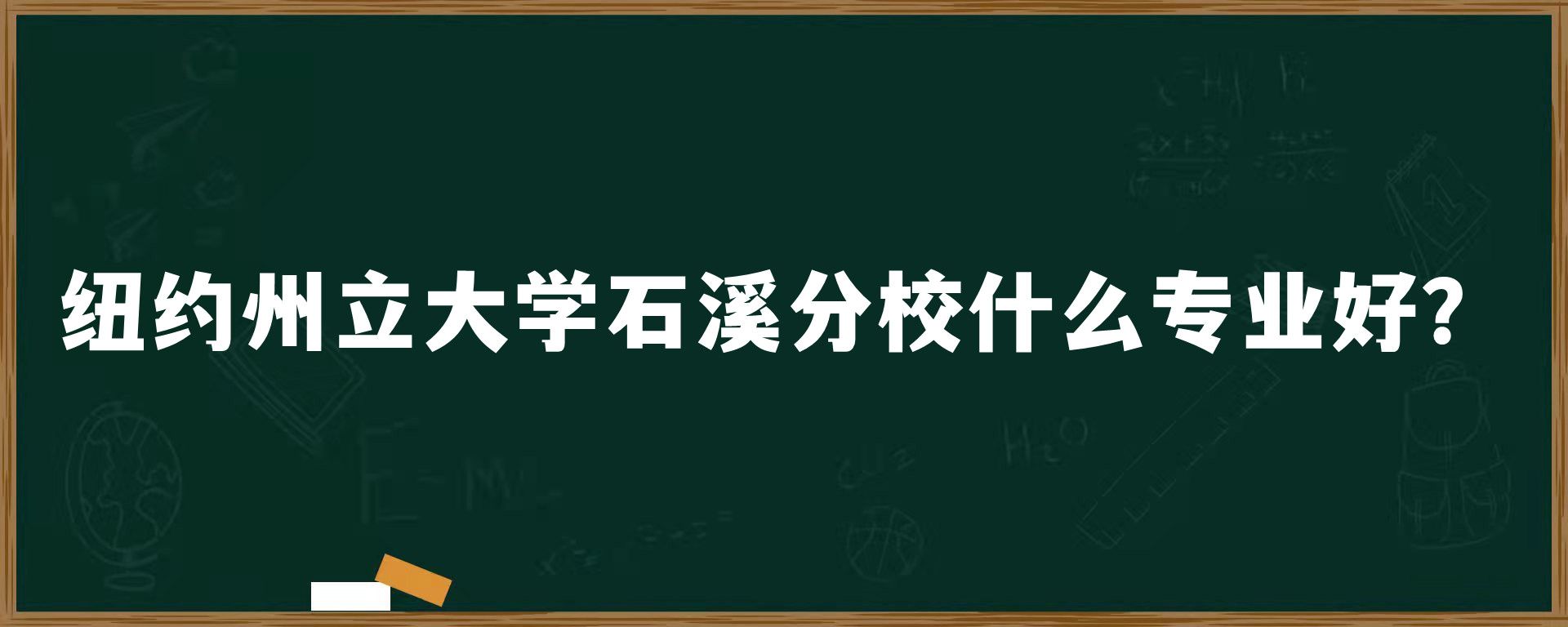 ​纽约州立大学石溪分校什么专业好？