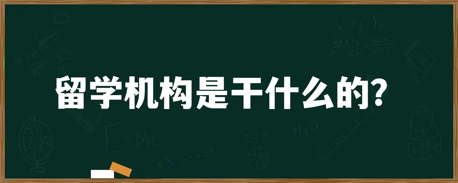 留学机构是干什么的？