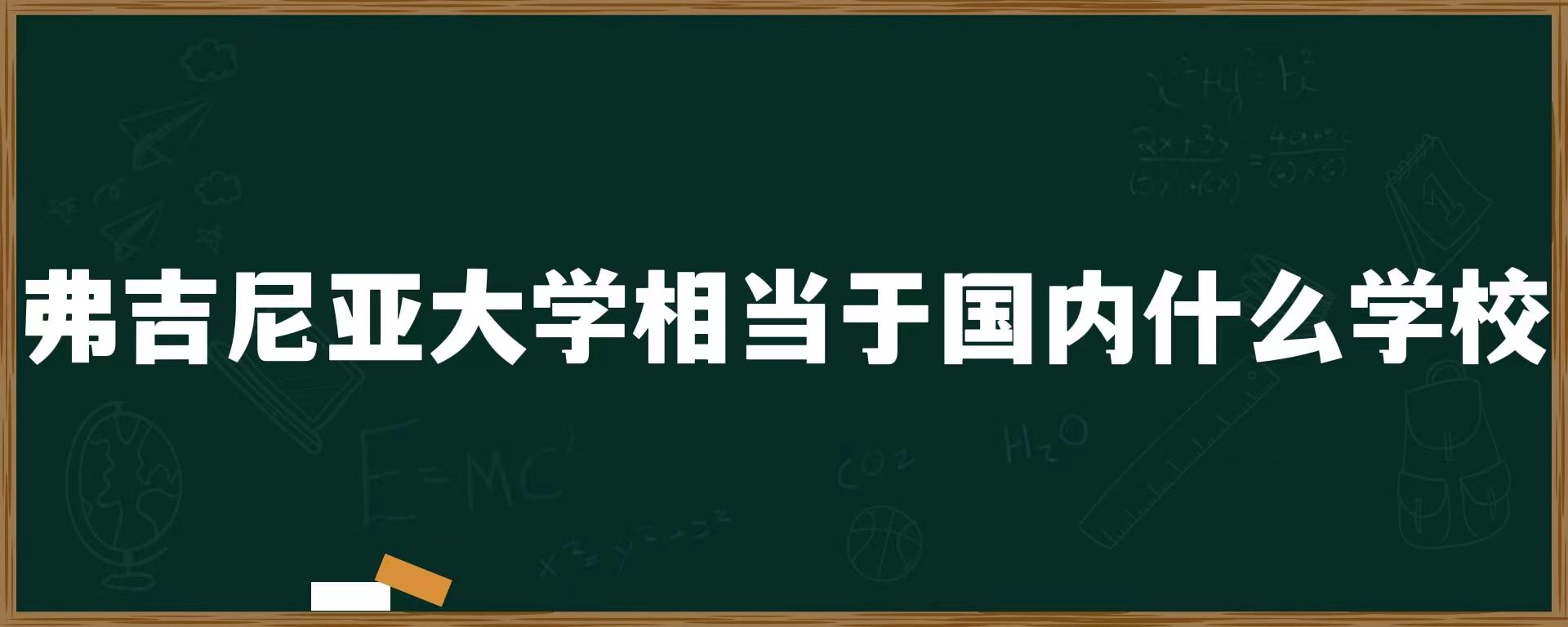 弗吉尼亚大学相当于国内什么学校