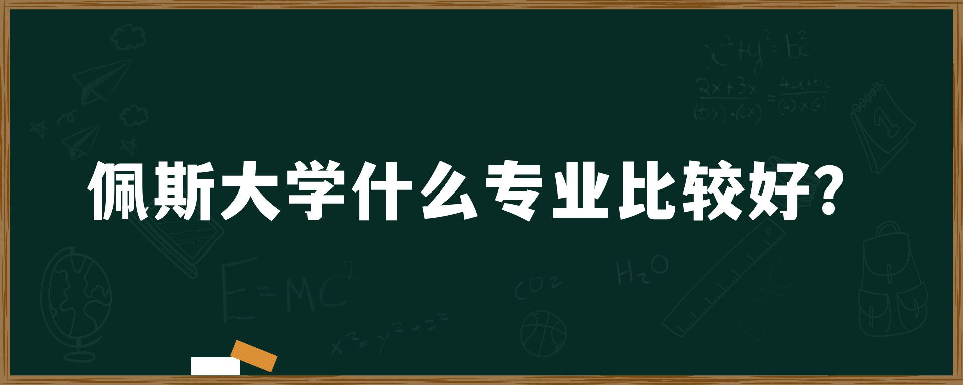 佩斯大学什么专业比较好？