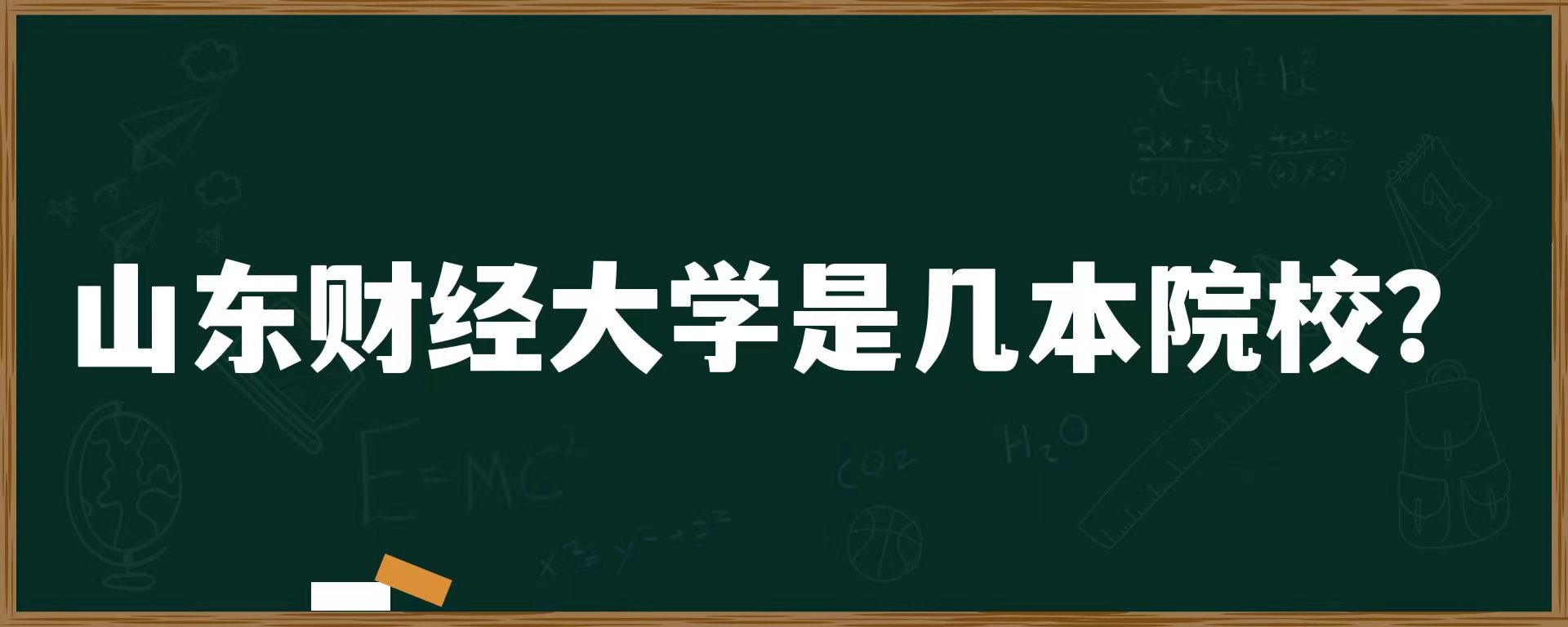 山东财经大学是几本院校？