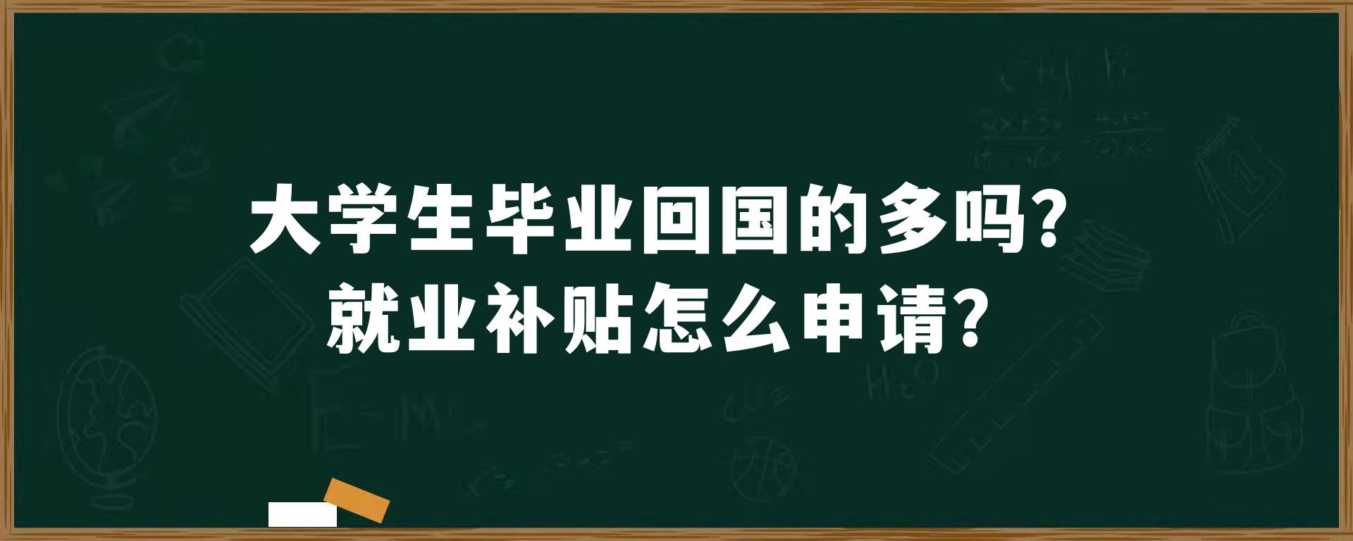 大学生毕业回国的多吗？就业补贴怎么申请？