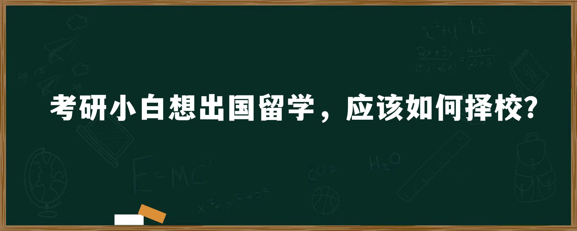 考研小白想出国留学，应该如何择校？