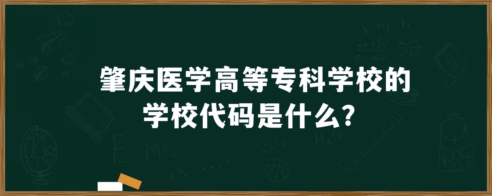 肇庆医学高等专科学校的学校代码是什么？