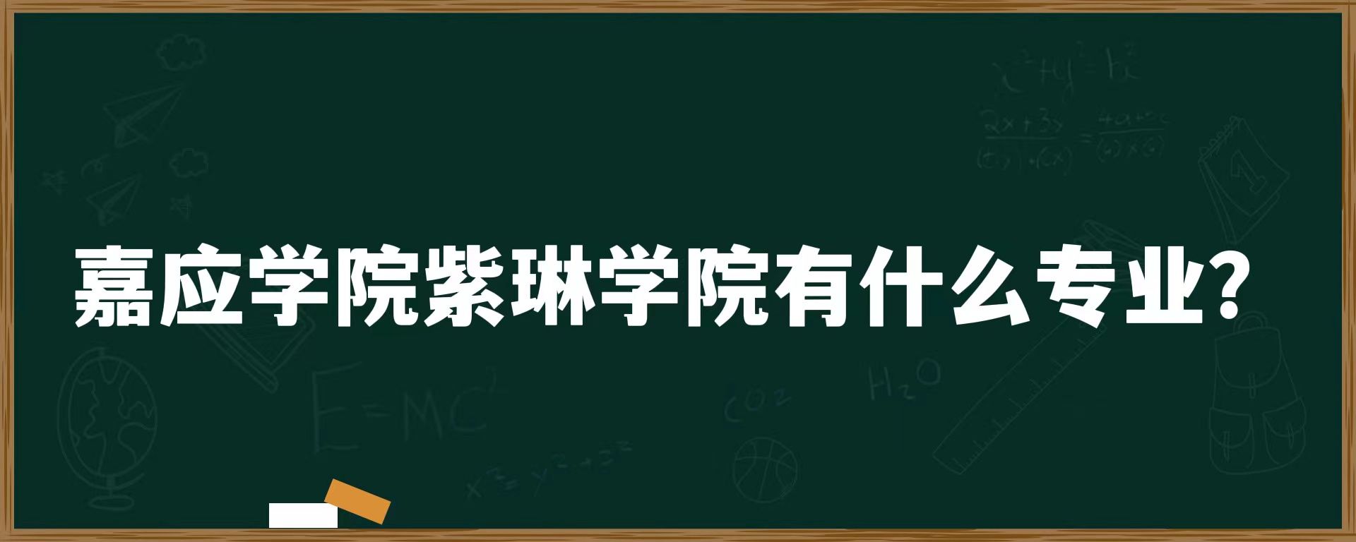 嘉应学院紫琳学院有什么专业？