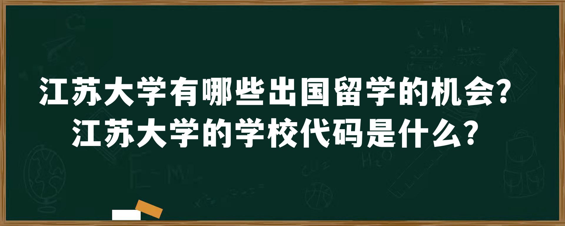 江苏大学有哪些出国留学的机会？江苏大学的学校代码是什么？