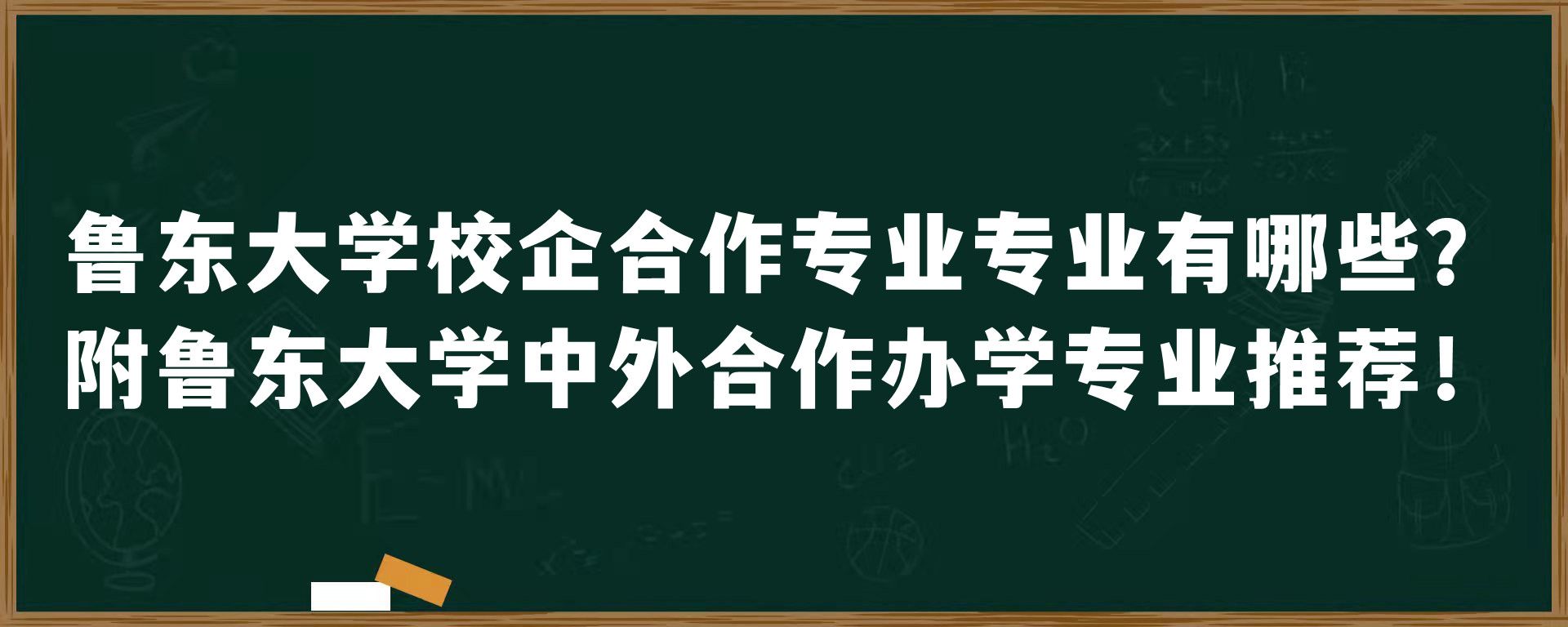 鲁东大学校企合作专业专业有哪些？附鲁东大学中外合作办学专业推荐！