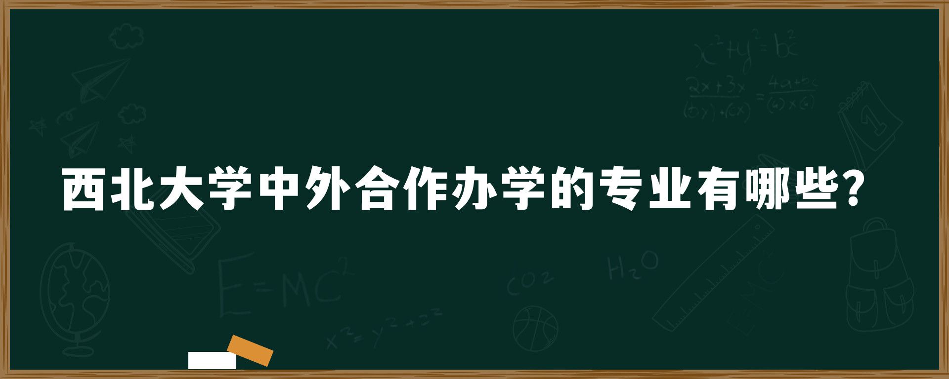 西北大学中外合作办学的专业有哪些？