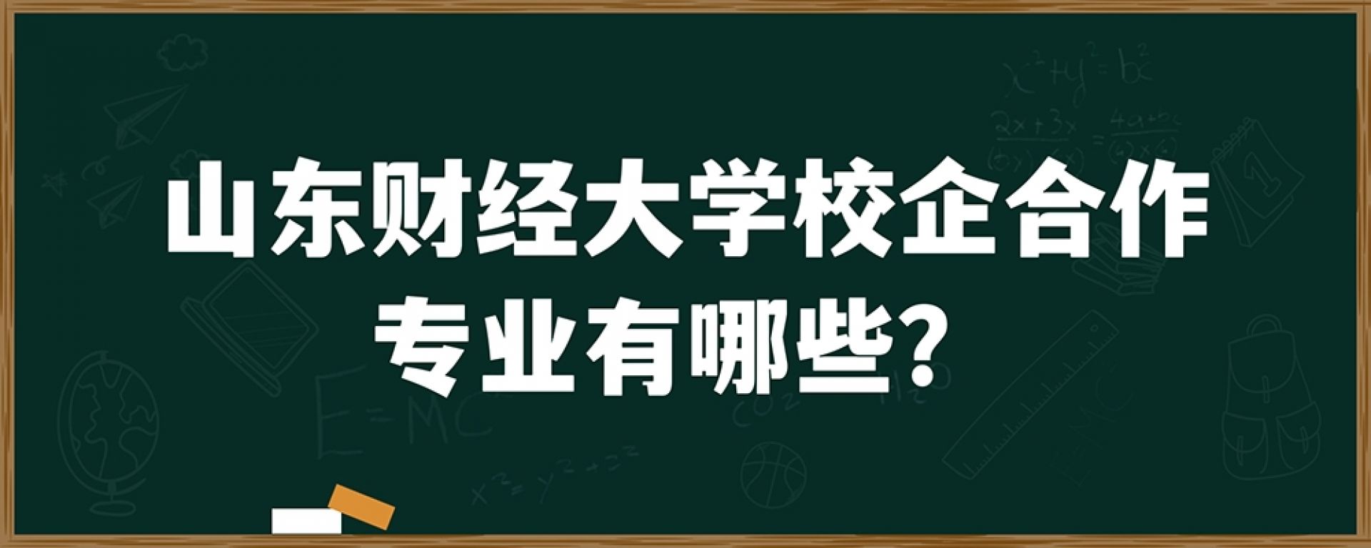 山东财经大学校企合作专业有哪些？