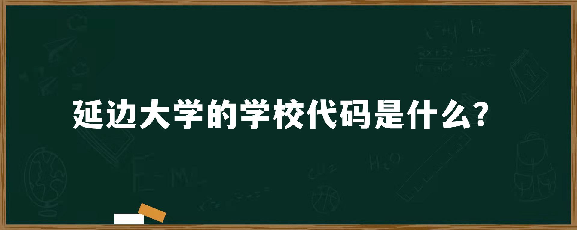 延边大学的学校代码是什么？