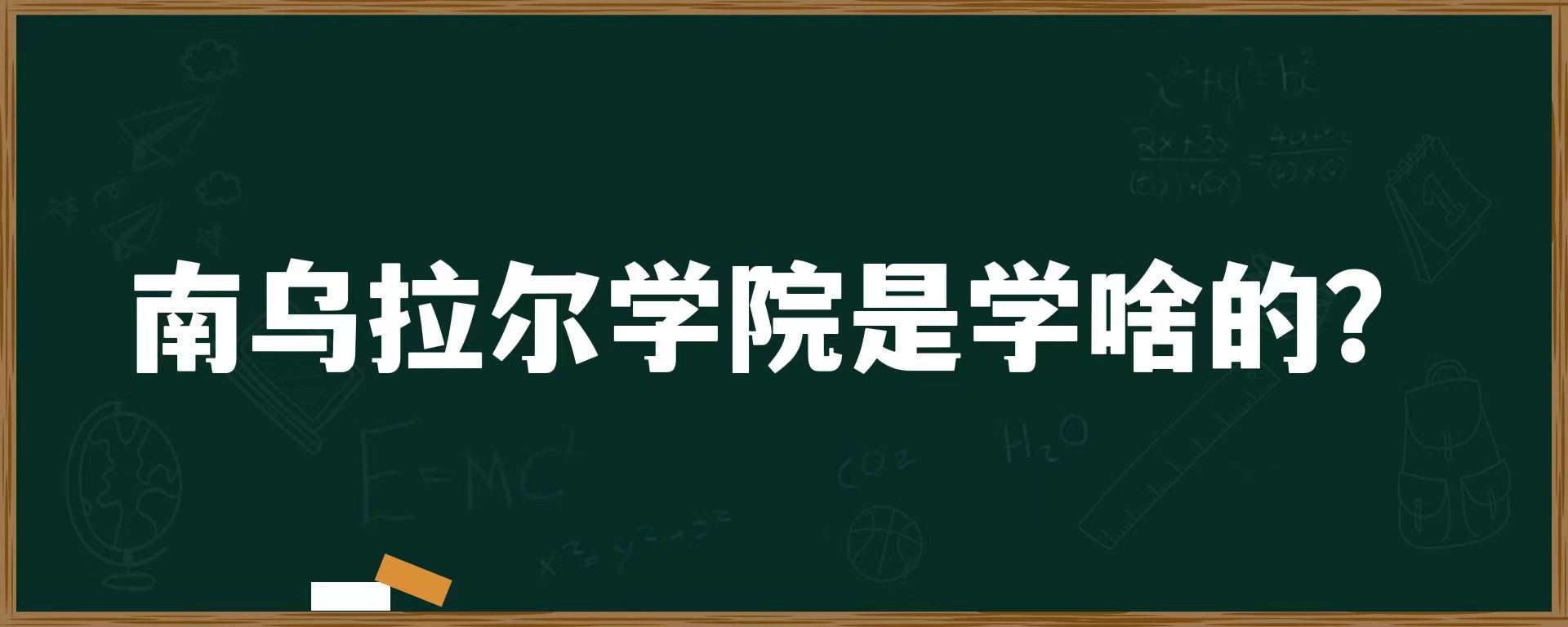 南乌拉尔学院是学啥的？