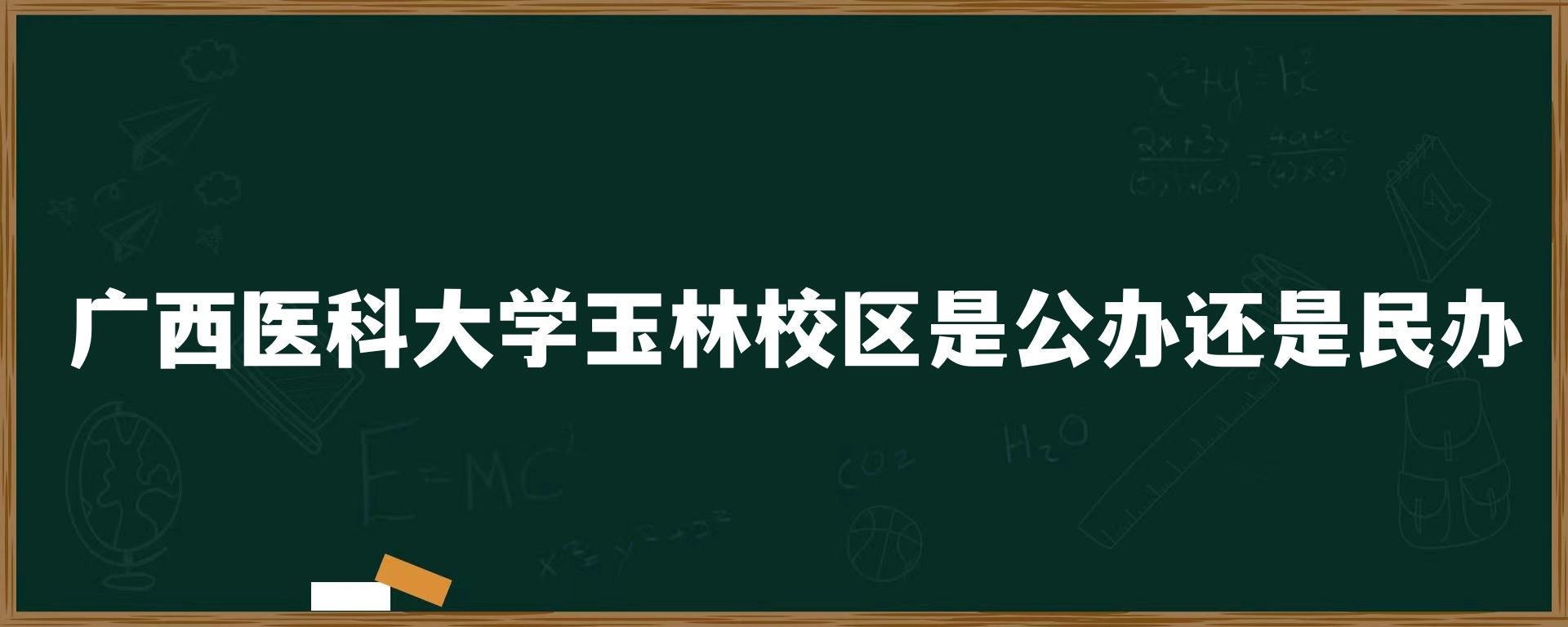 广西医科大学玉林校区是公办还是民办