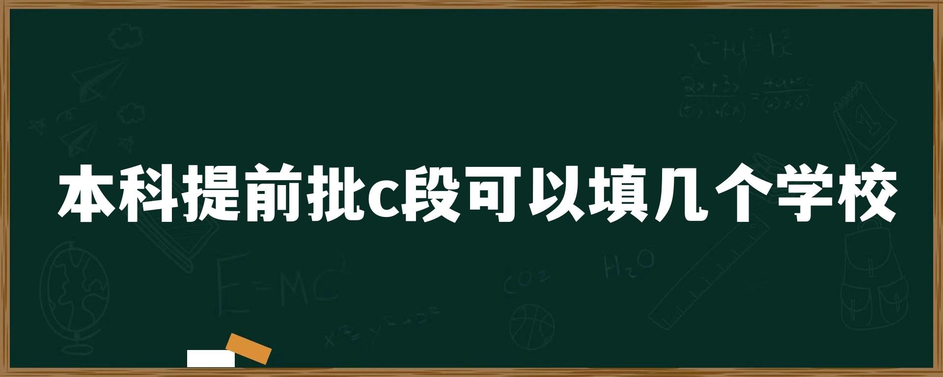 本科提前批c段可以填几个学校