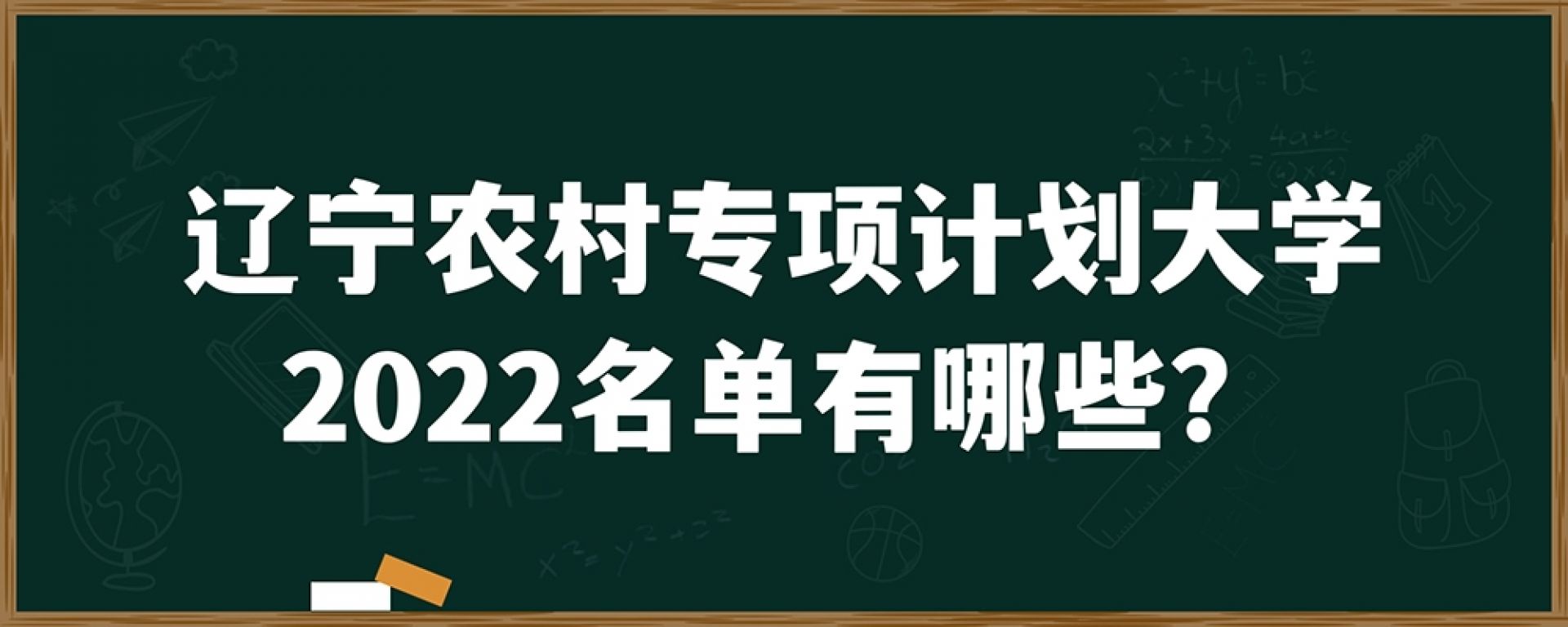 辽宁农村专项计划大学2022名单有哪些？