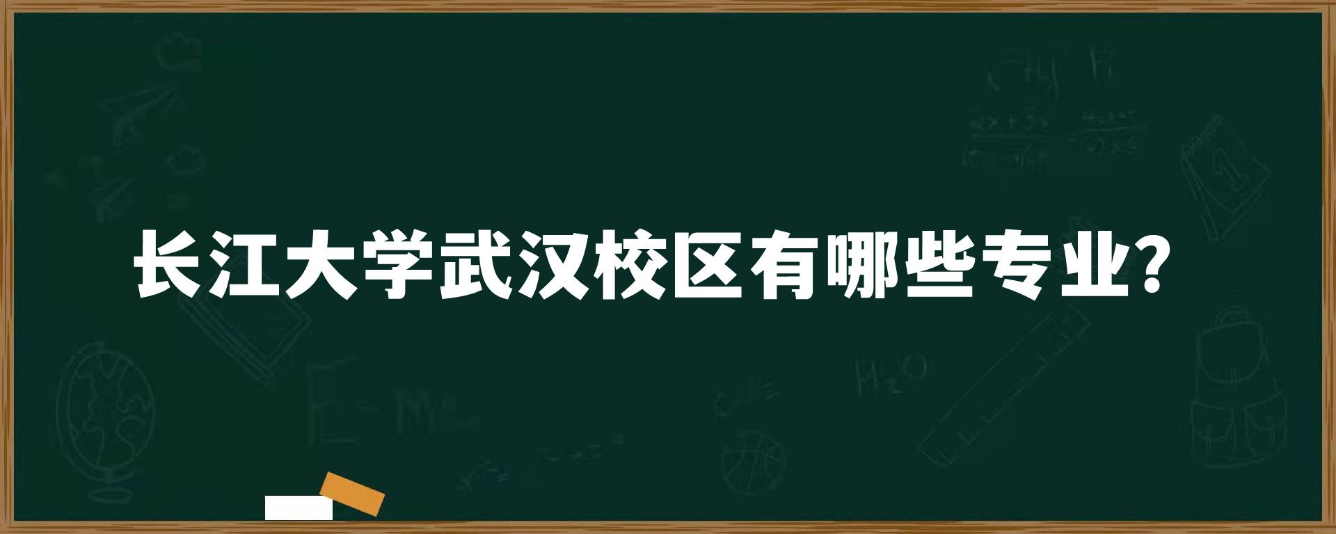 长江大学武汉校区有哪些专业？