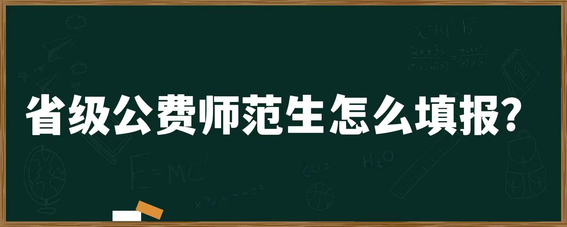 省级公费师范生怎么填报？