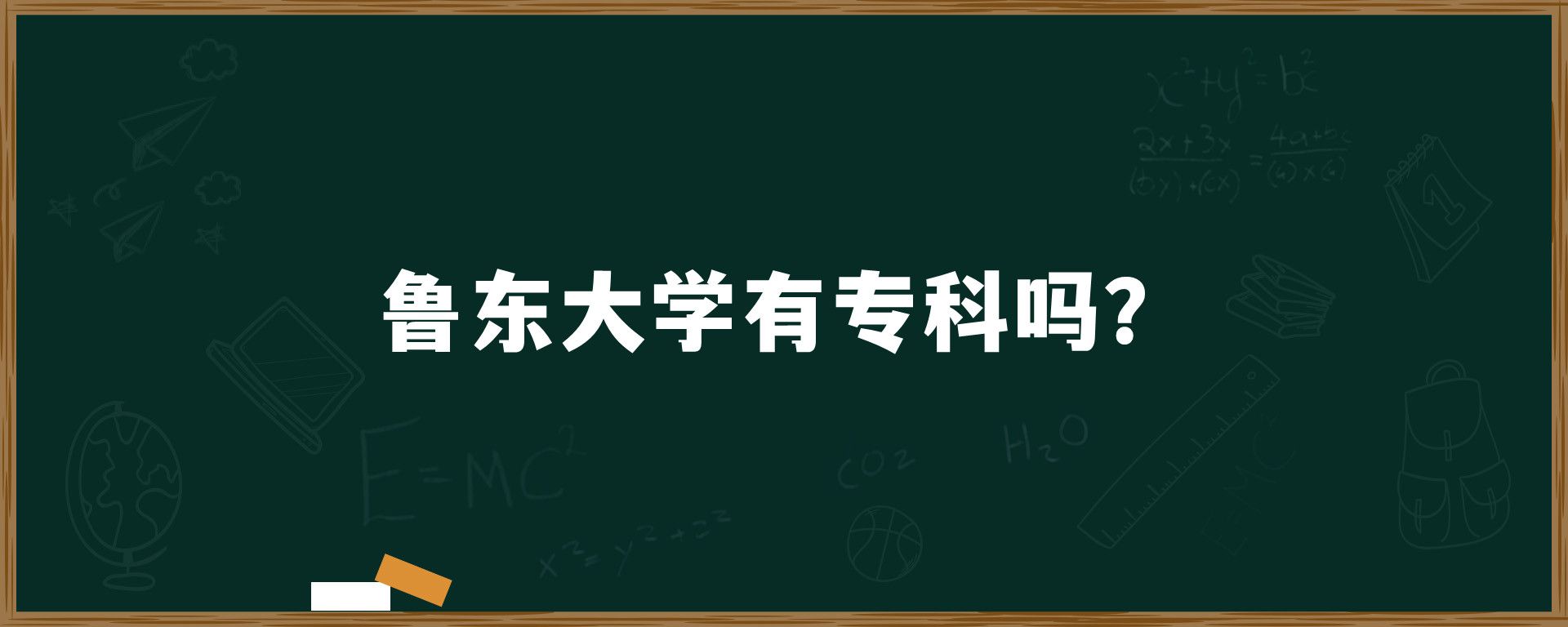 鲁东大学有专科吗？