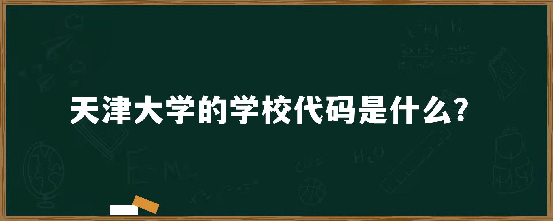 天津大学的学校代码是什么？