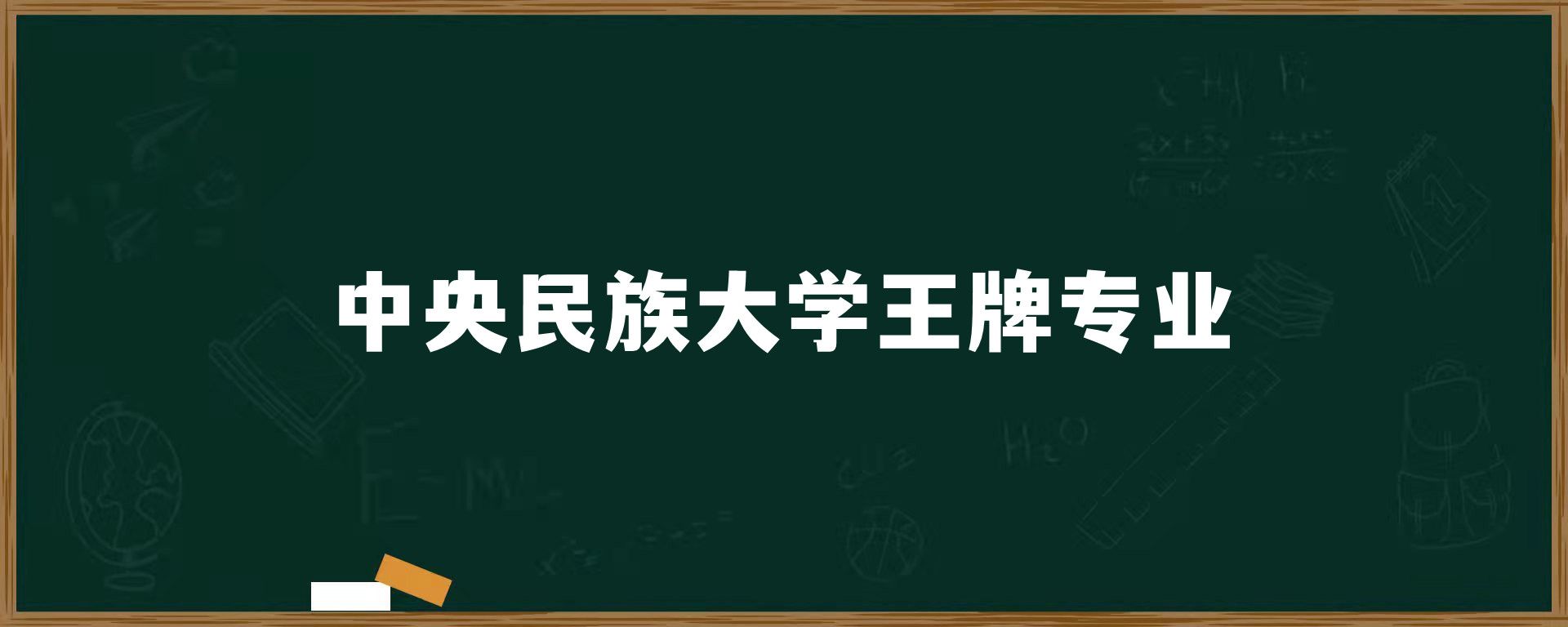 中央民族大学王牌专业