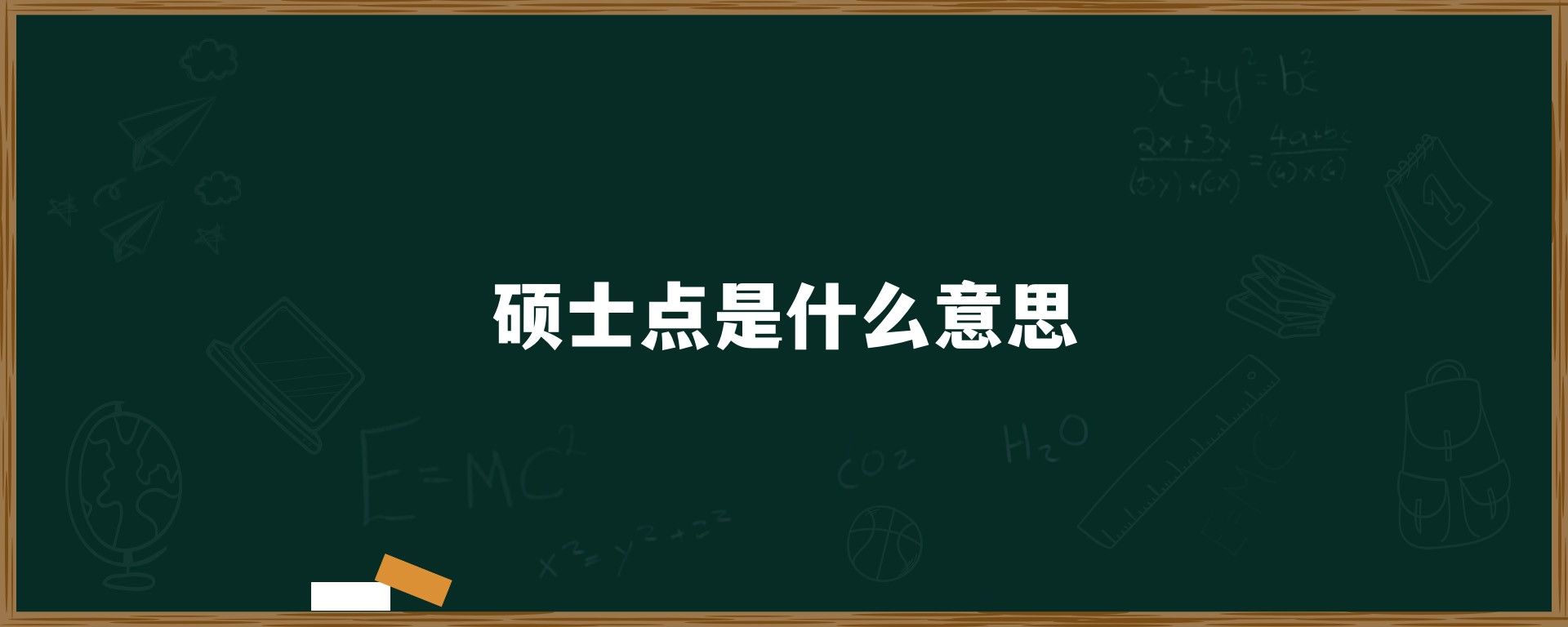 硕士点是什么意思