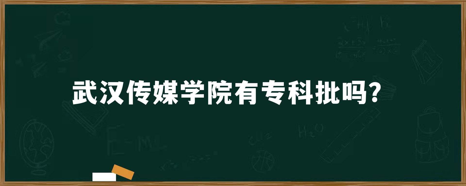 武汉传媒学院有专科批吗？