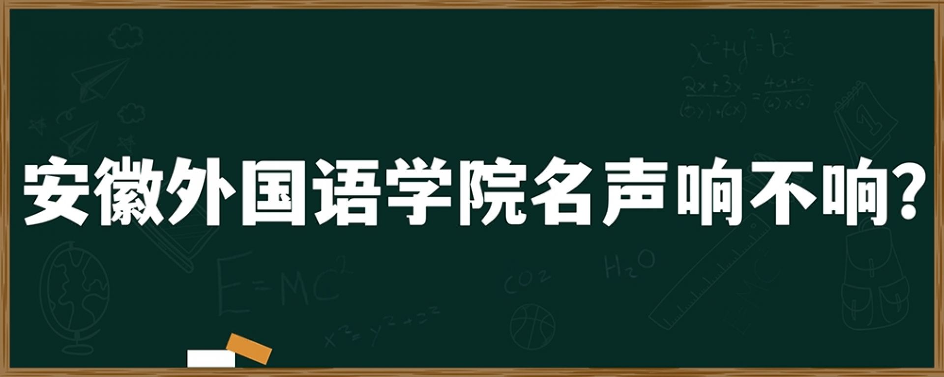 安徽外国语学院名声响不响？