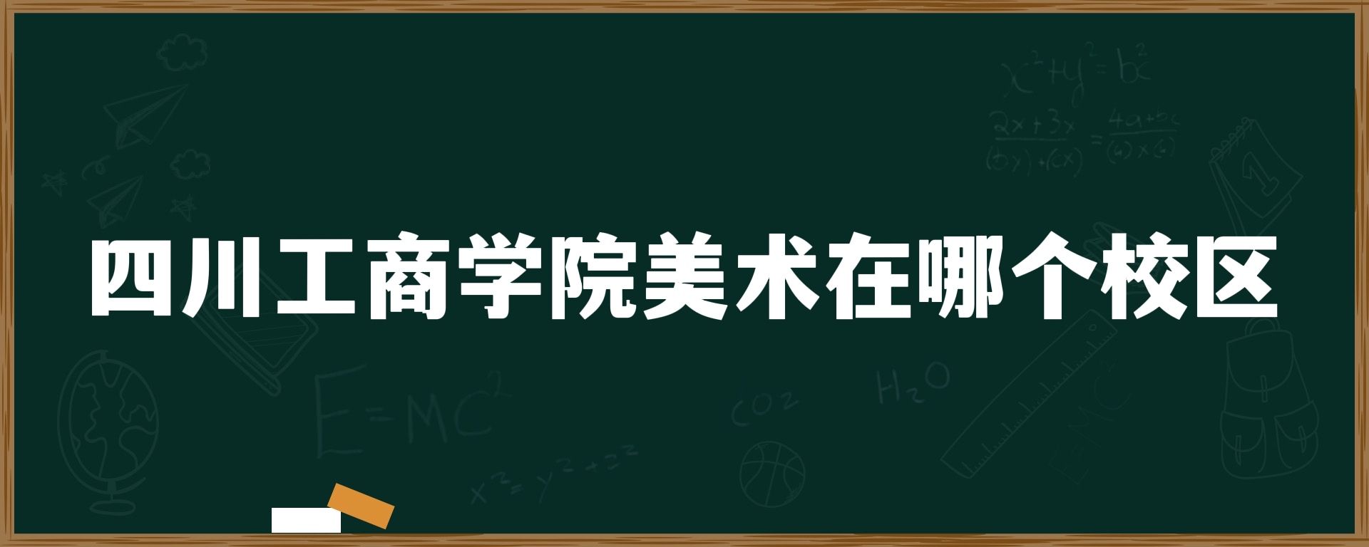 四川工商学院美术在哪个校区