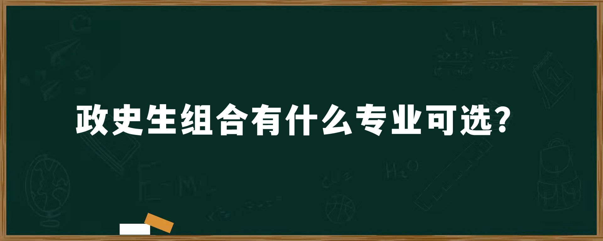 政史生组合有什么专业可选？