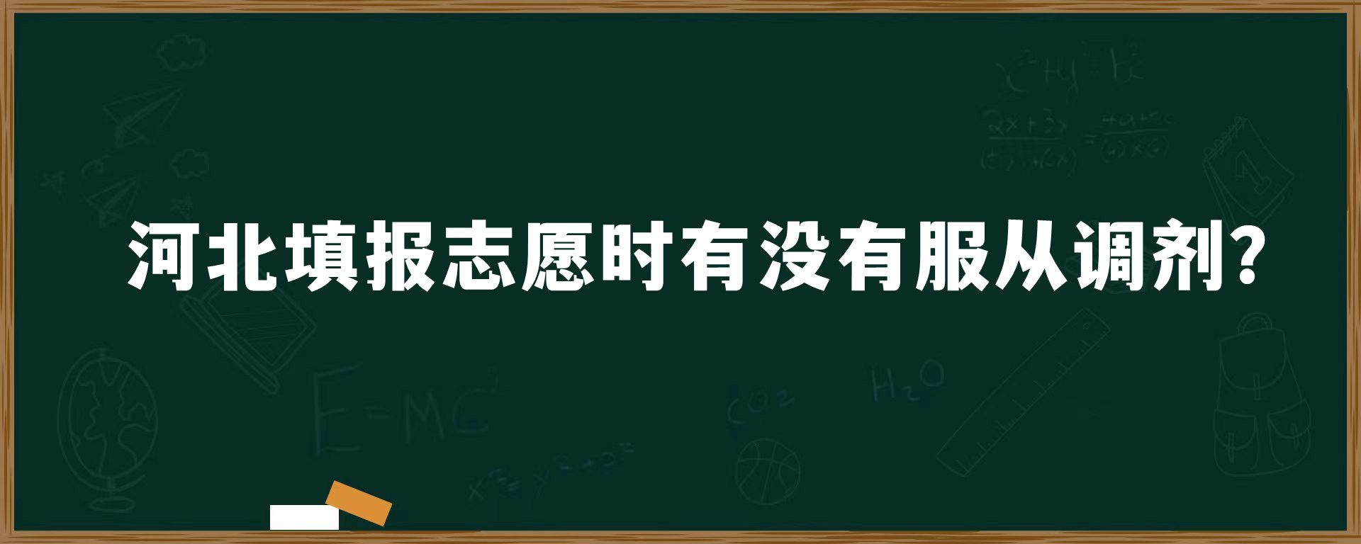 河北填报志愿时有没有服从调剂？