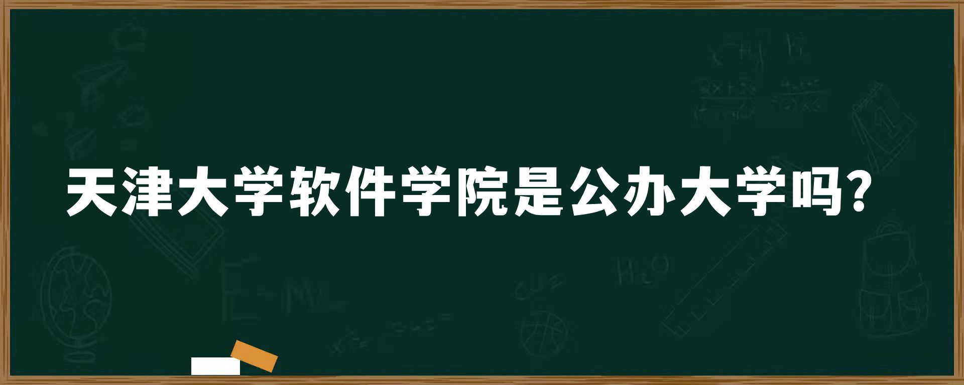 天津大学软件学院是公办大学吗？