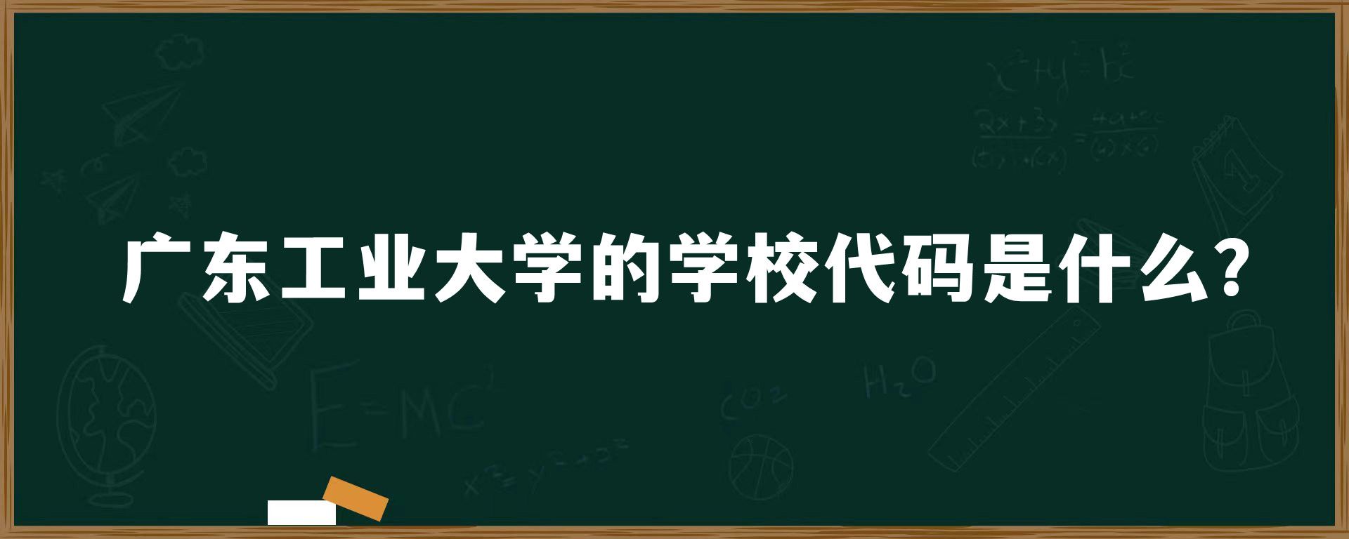 广东工业大学的学校代码是什么？