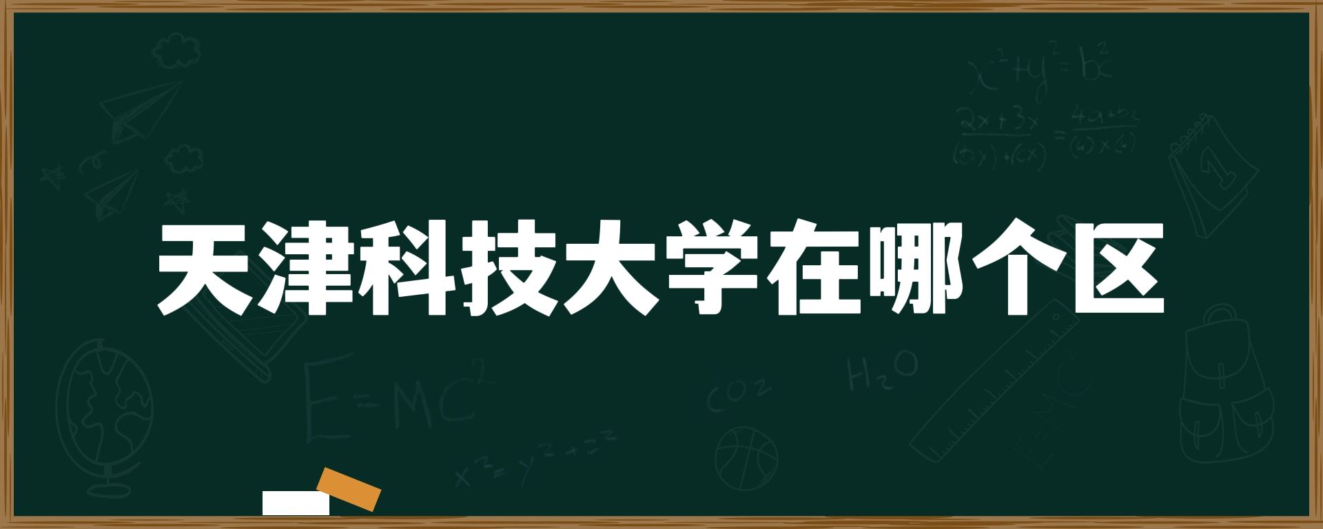 天津科技大学在哪个区