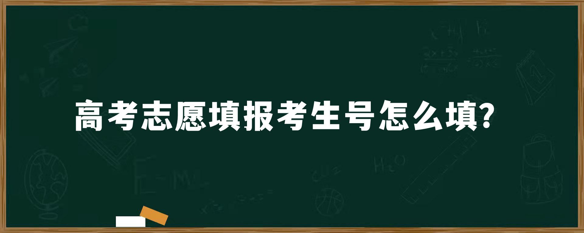 高考志愿填报考生号怎么填？