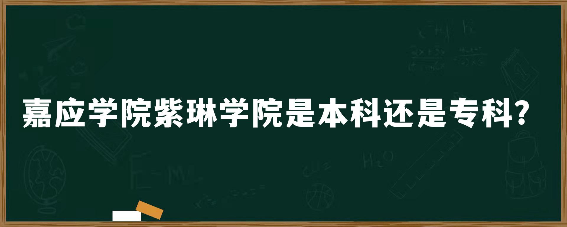 嘉应学院紫琳学院是本科还是专科？