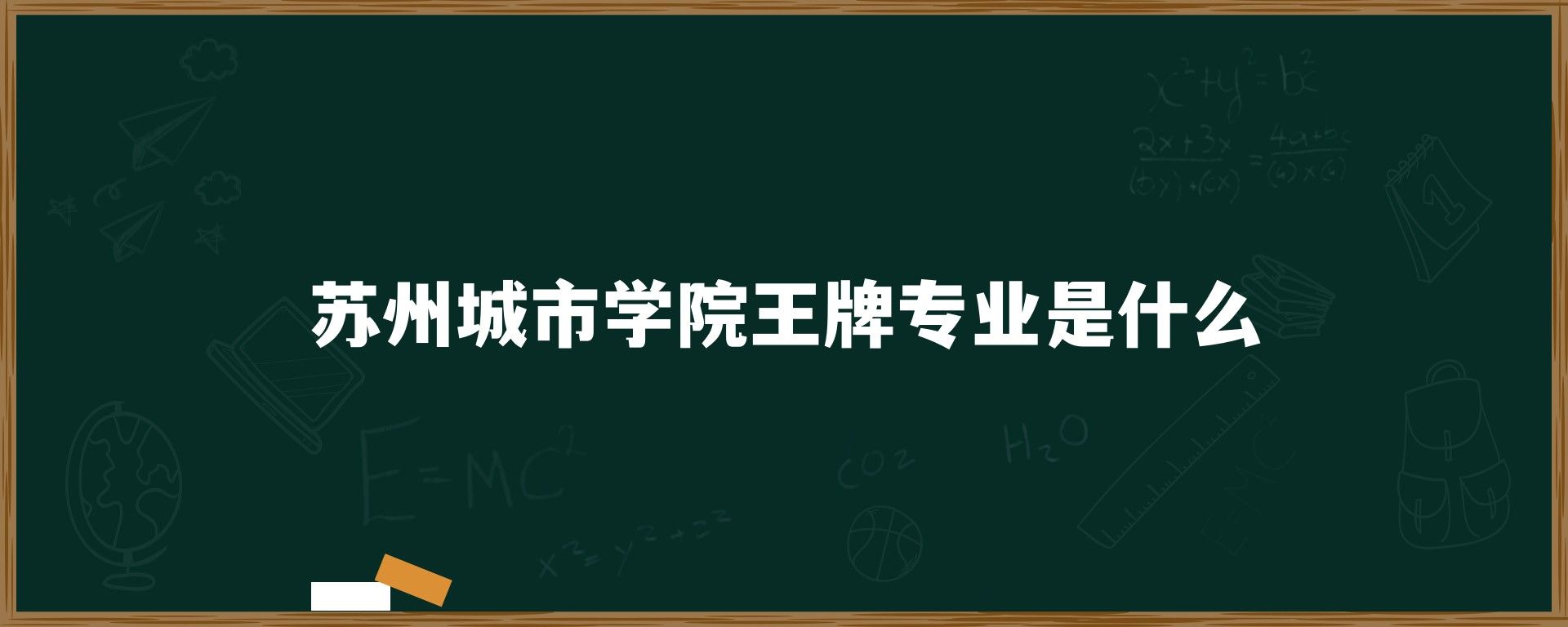 苏州城市学院王牌专业是什么