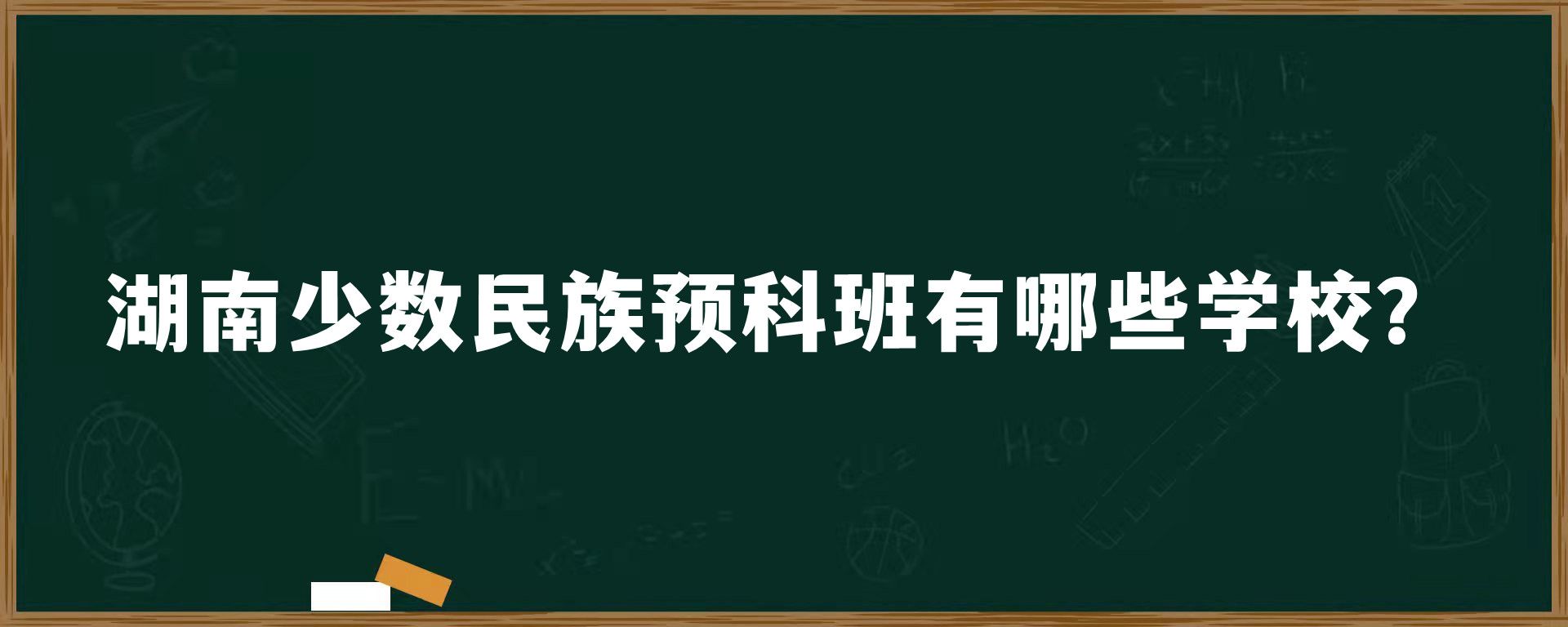 湖南少数民族预科班有哪些学校？