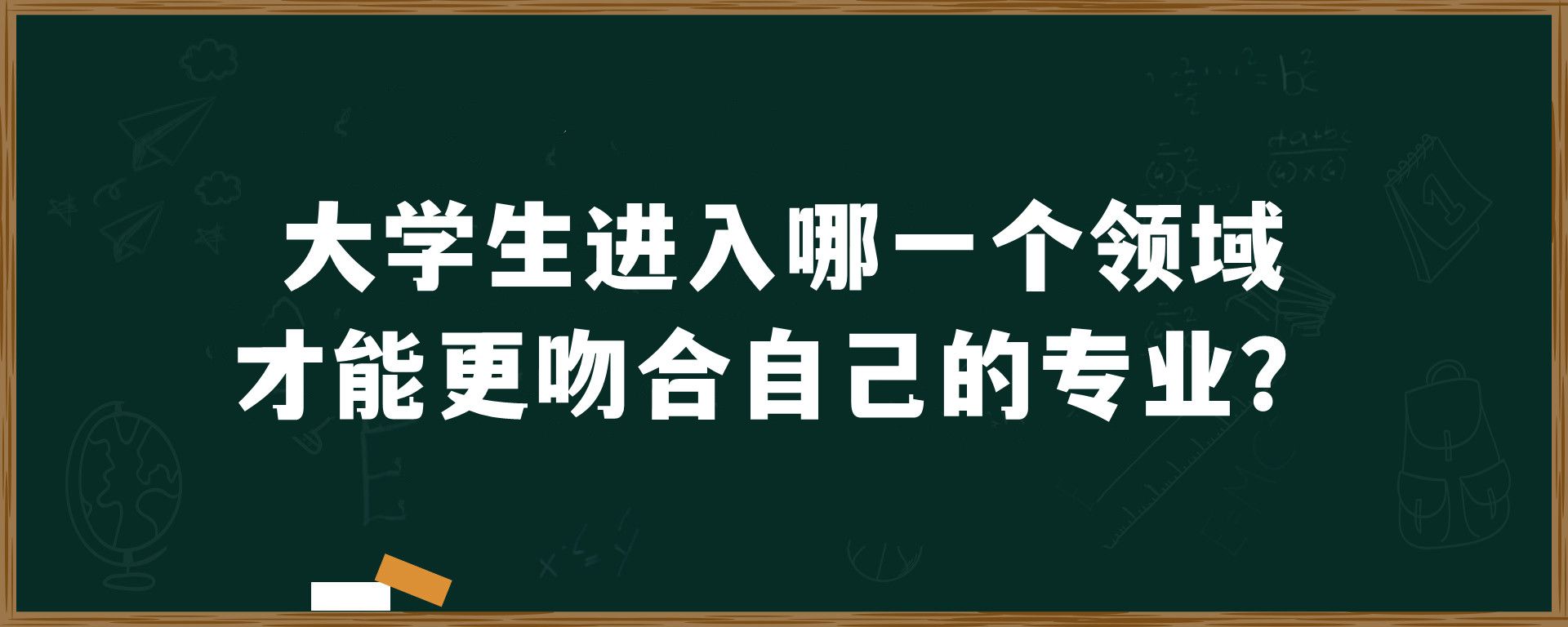 大学生进入哪一个领域才能更吻合自己的专业？