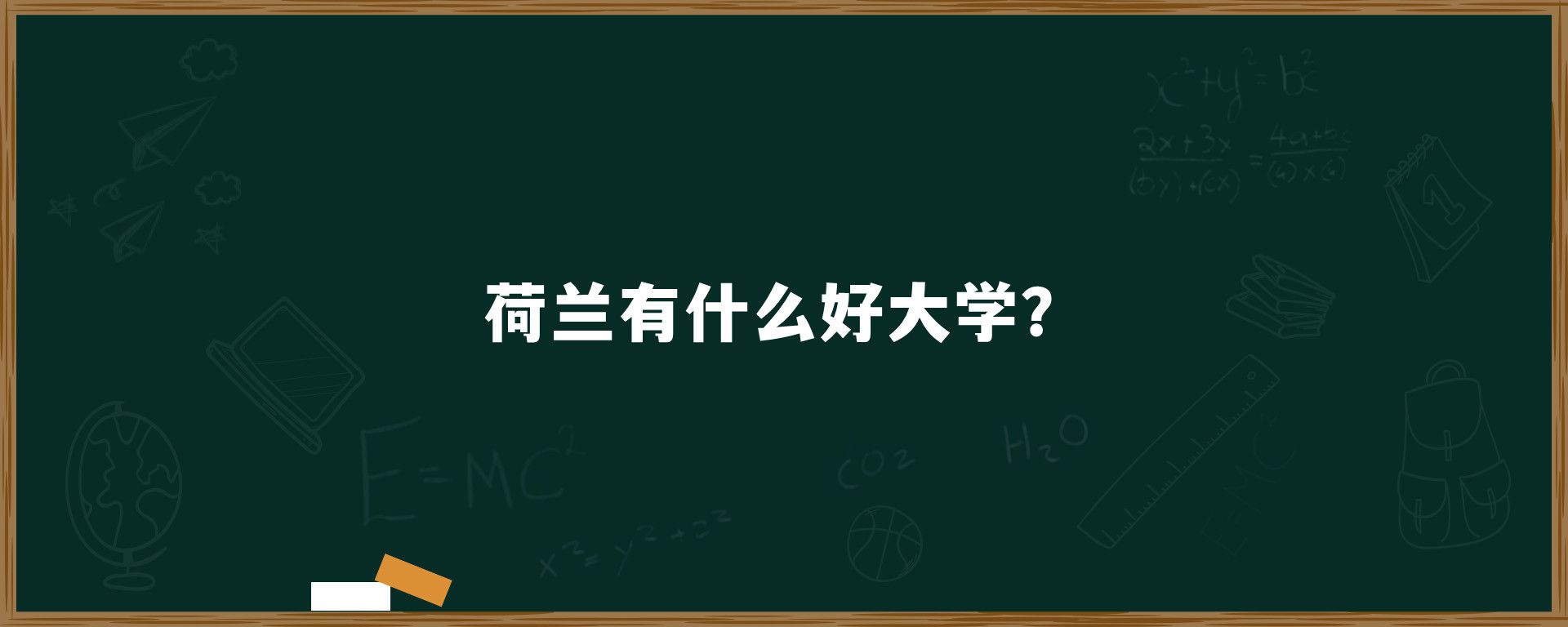 荷兰有什么好大学？