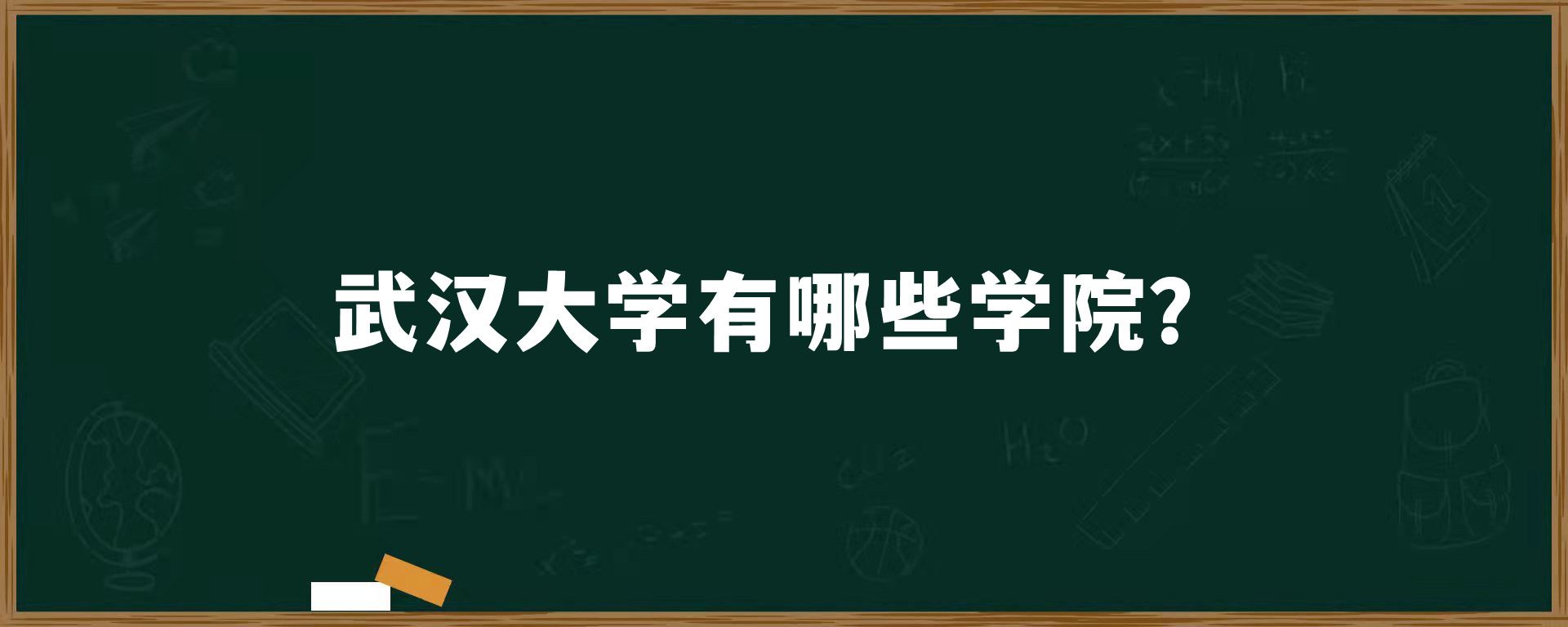 武汉大学有哪些学院？