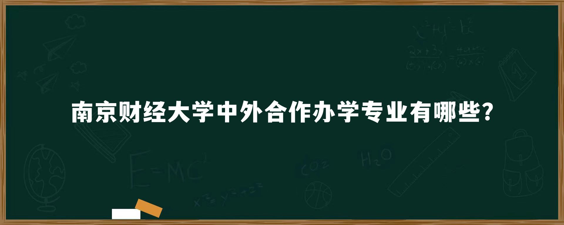 南京财经大学中外合作办学专业有哪些?