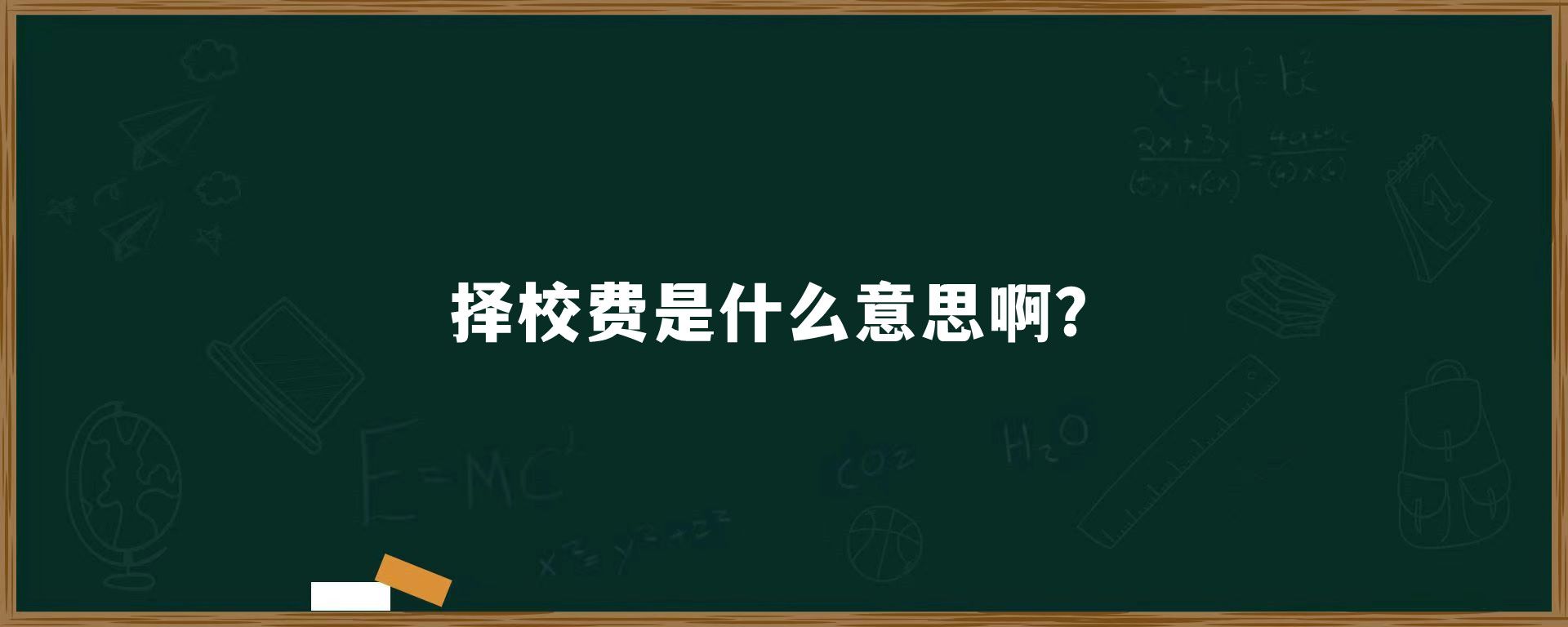 ​择校费是什么意思啊？