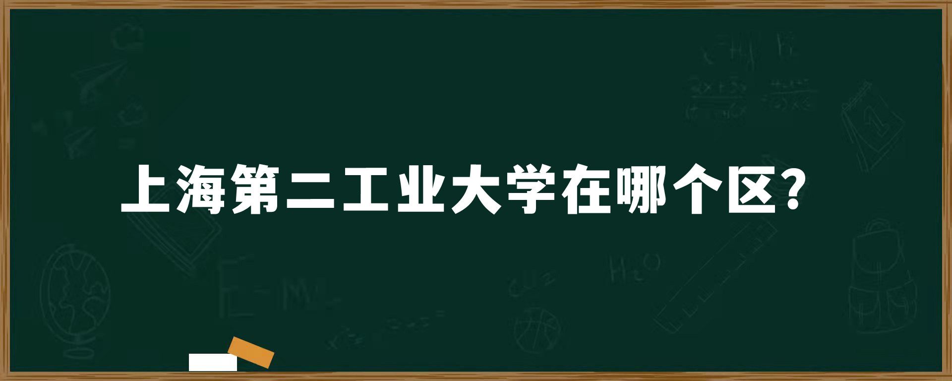 上海第二工业大学在哪个区？