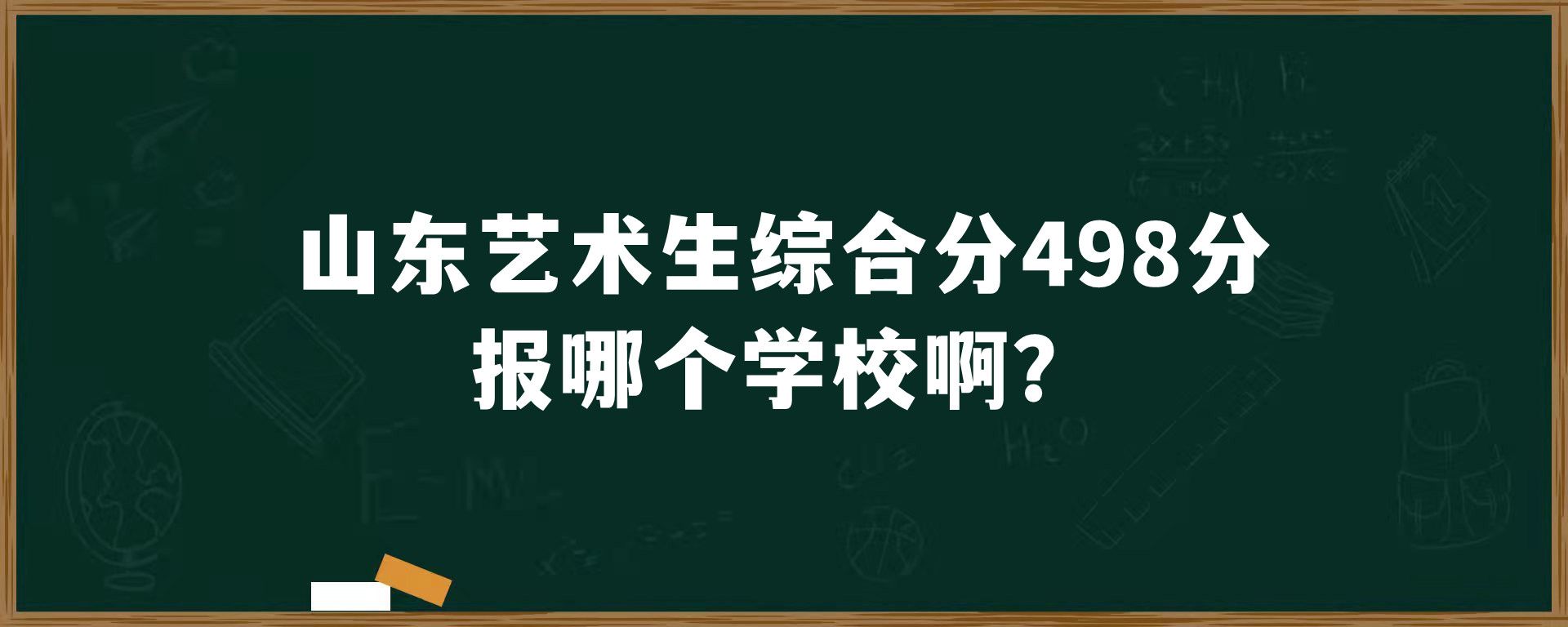 山东艺术生综合分498分报哪个学校啊？