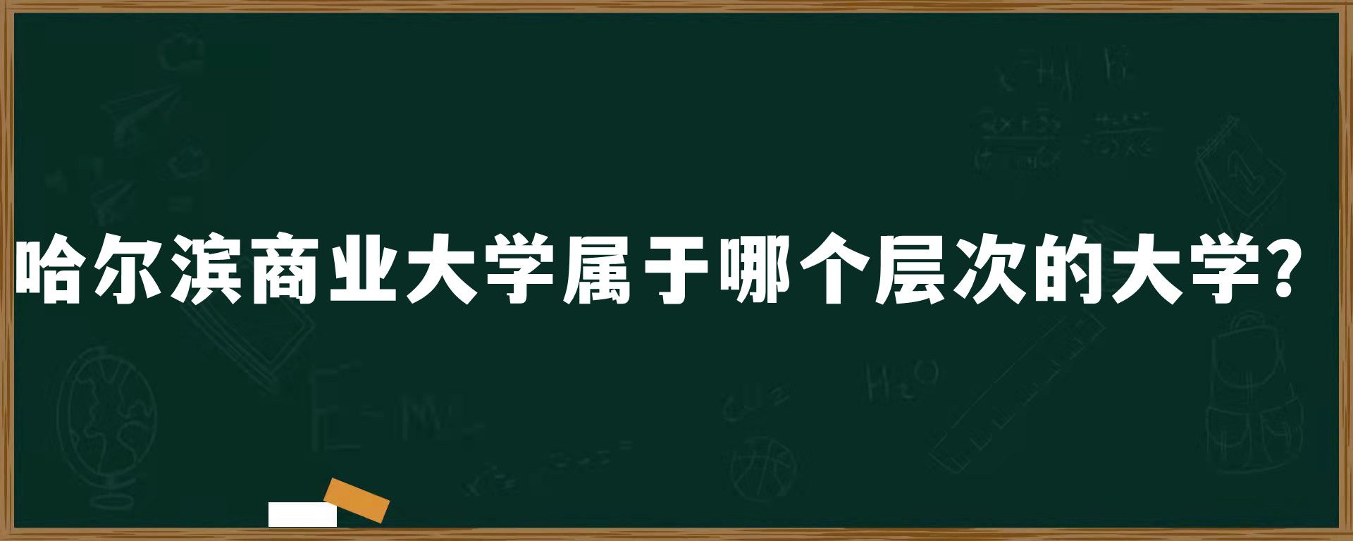 哈尔滨商业大学属于哪个层次的大学？