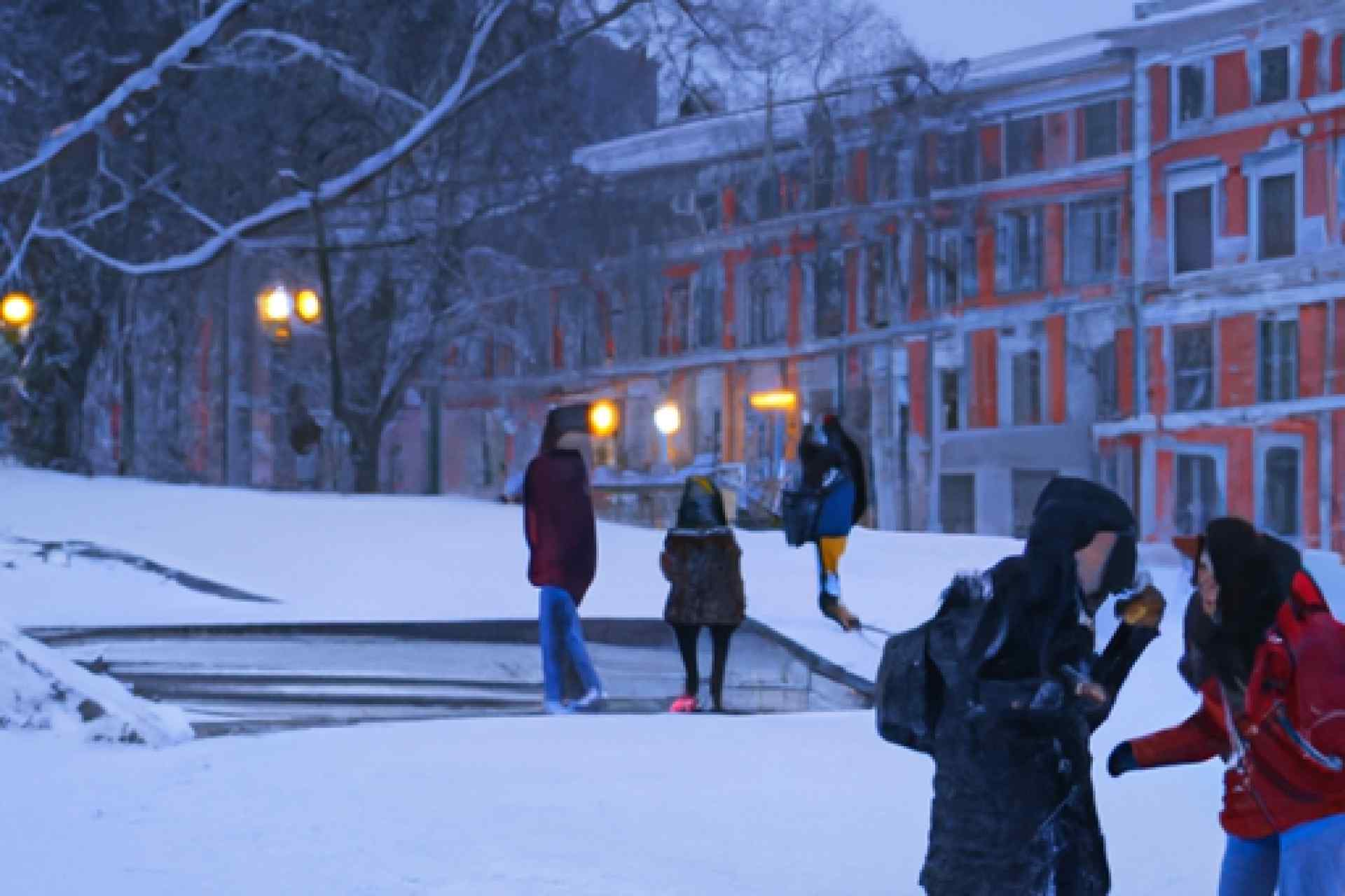冬日浪漫：与圣彼得堡技术大学的雪中生活