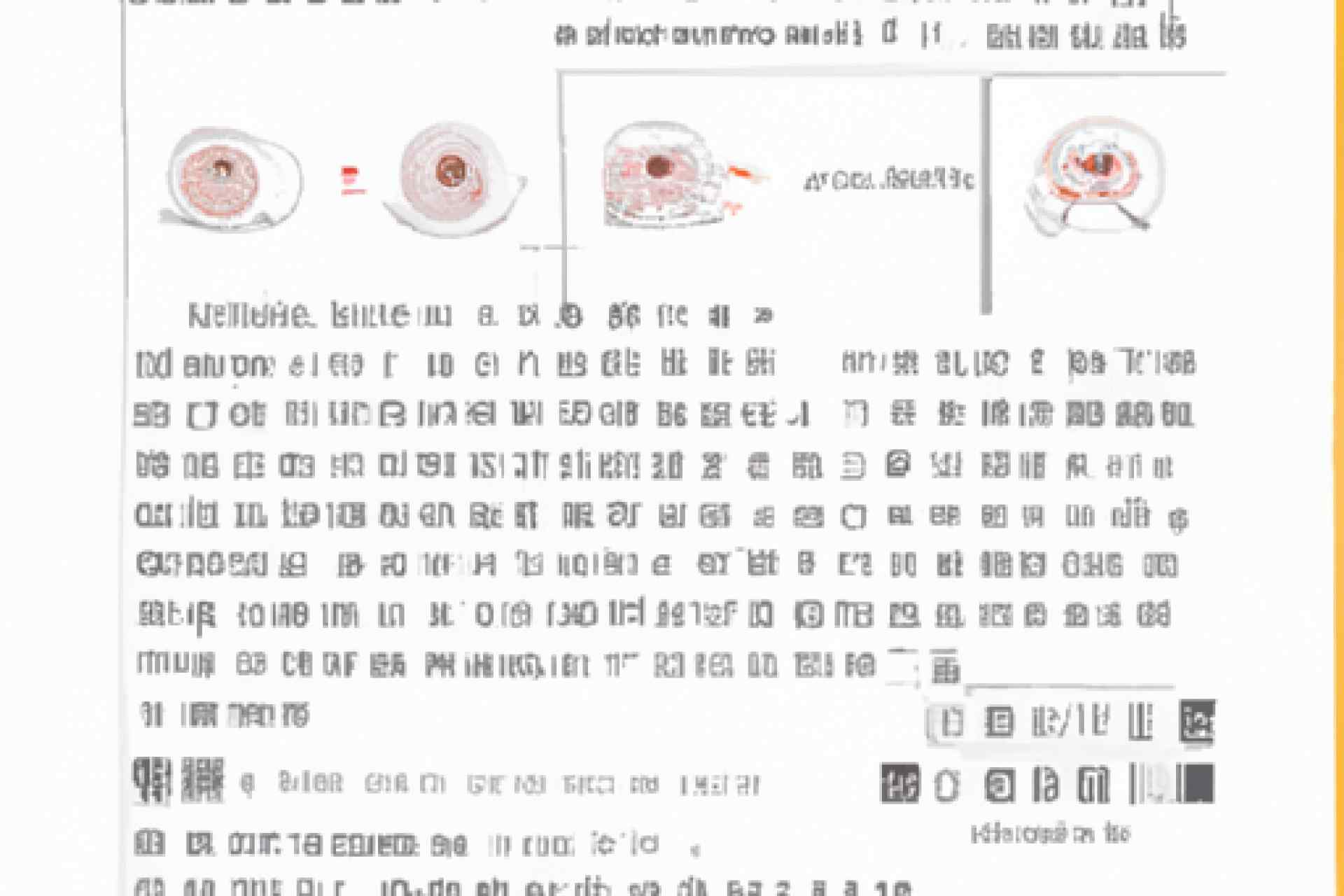 控制留学预算：伊尔库茨克国立大学的实际生活花费分析