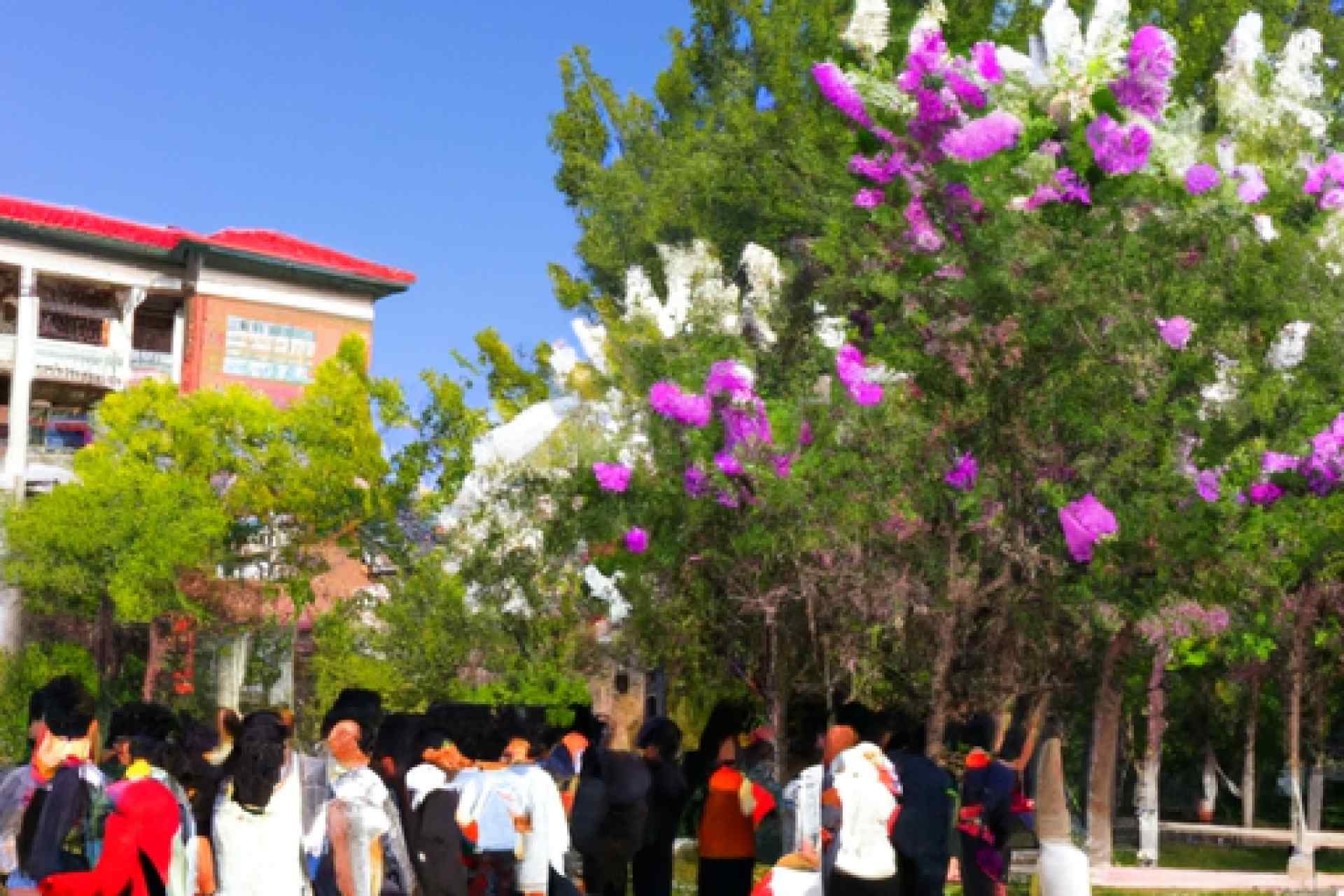 2015春季交换生费用：在图尔库大学度过惊艳春季学期的花费